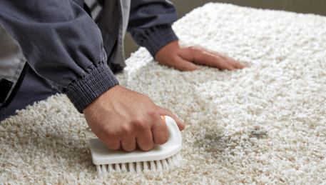 Professional Rug Cleaning Melton